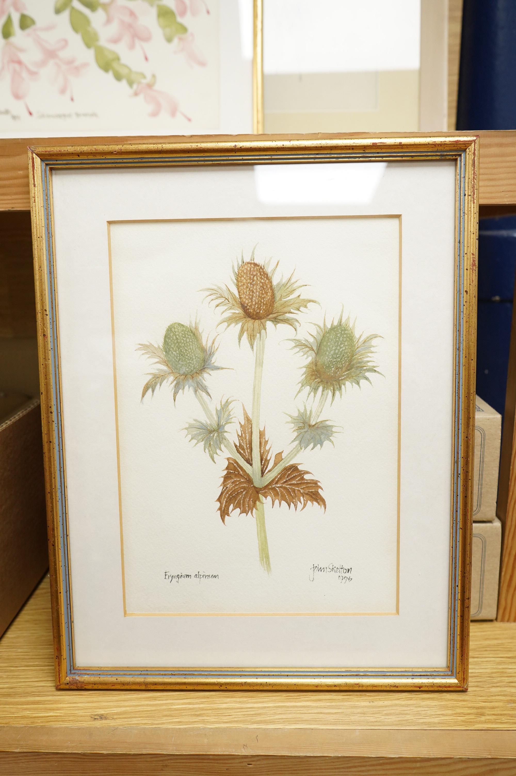 John Skelton (1925-2009), Botanical studies, each signed and dated, three watercolours and a pencil study, largest 30 x 22cm, Provenance: from the artist's family